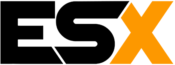 ESX Scripting Icon